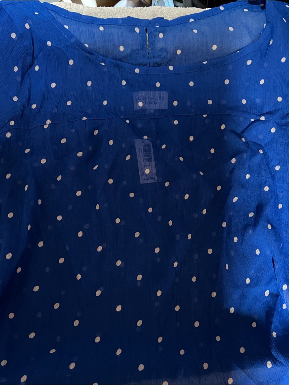 GILLY HICKS BLUE AND WHITE Polka Dot Sheer Blouse